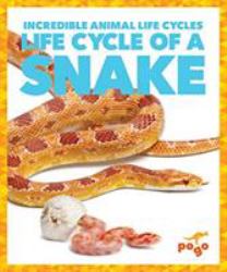 Life Cycle of a Snake