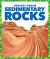 Sedimentary Rocks