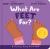 What Are Feet for? Board Book : A Lift-The-Flap Board Book