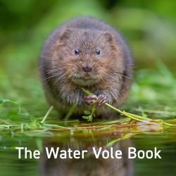 Nature Book Series: the Water Vole Book