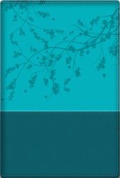 A Woman after God's Own Heart Bible