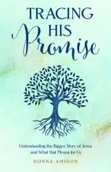 Tracing His Promise : Understanding the Bigger Story of Jesus and What That Means for Us