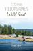 Catching Yellowstone's Wild Trout : A Fly-Fishing History and Guide