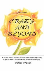 Journey to Crazy and Beyond : A mother shares her heartfelt and inspiring journey raising a special needs child born with traumatic brain Injury
