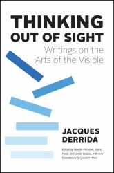 Thinking Out of Sight : Writings on the Arts of the Visible