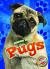 Pugs Pugs