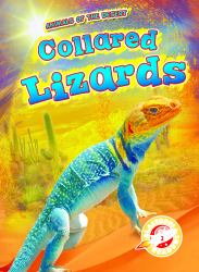 Collared Lizards