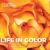 Life in Color : National Geographic Photographs