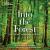 Into the Forest : The Secret Language of Trees