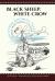 Black Sheep, White Crow and Other Windmill Tales : Stories from Navajo Country Black Sheep, White Crow and Other Windmill Tales : Stories from Navajo Country