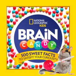 Brain Candy : Seriously Sweet Facts to Satisfy Your Curiosity