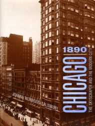 Chicago 1890 : The Skyscraper and the Modern City