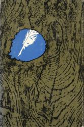 True Country : Themes in the Fiction of Flannery O'Connor