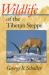 Wildlife of the Tibetan Steppe