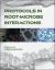 Protocols in Root-Microbe Interactions