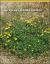 Turfgrass Weed Control for Professionals 2025 Turfgrass Weed Control for Professionals 2025