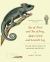 Eye of Newt and Toe of Frog, Adder's Fork and Lizard's Leg : The Lore and Mythology of Amphibians and Reptiles