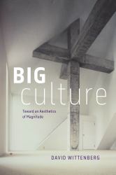 Big Culture : Toward an Aesthetics of Magnitude