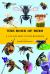 The Book of Bees : A Life-Size Guide to Bees Worldwide