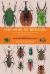 The Book of Beetles, Second Edition : A Life-Size Guide to Six Hundred of Nature's Gems