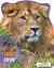 Animal Adventures: Safari