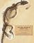 The Lost World of Fossil Lake : Snapshots from Deep Time The Lost World of Fossil Lake : Snapshots from Deep Time