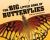 Big Little Book of Butterflies