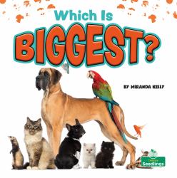 Which Is Biggest?