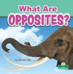 What Are Opposites?