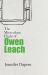 The Miraculous Flight of Owen Leach