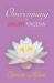 Overcoming an Angry Vagina : Journey to Womb Wellness