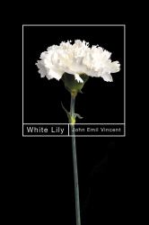 White Lily