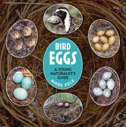 Bird Eggs : A Young Naturalist's Guide