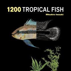 1200 Tropical Fish : An Illustrated Guide to 1200 Fish Species from Around the World