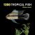 1200 Tropical Fish : An Illustrated Guide to 1200 Fish Species from Around the World