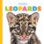 Baby Leopards