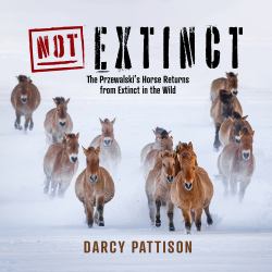 NOT Extinct : The Przewalski's Horse Returns from Extinct in the Wild