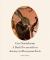Cees Nooteboom : A Dark Premonition. Journeys to Hieronymus Bosch Cees Nooteboom : A Dark Premonition. Journeys to Hieronymus Bosch