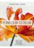 Permission to Dream : How to Be Radically Resilient and Hopeful