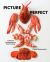 Picture Perfect : Cooking by Photograph