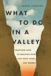 What to Do in a Valley : Unlocking God's Best When You're at Your Worst