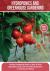 Hydroponics and Greenhouse Gardening : The Definitive Beginner's Guide to Learn How to Build Easy Systems for Growing Organic Vegetables, Fruits and Herbs at Home