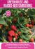 Greenhouse and Raised-Bed Gardening : The Ultimate Beginner's Guide to Starting a Raised Bed and Greenhouse and Grow Your Own Sustaining Organic Veggies and Plants