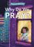 Why Do We Pray? : A Toddler Theology Book about Talking to God
