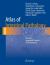 Atlas of Intestinal Pathology : Volume 1: Non-Neoplastic Diseases of the Intestines