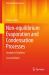Non-Equilibrium Evaporation and Condensation Processes : Analytical Solutions