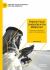 Bedouin Visual Leadership in the Middle East : The Power of Aesthetics and Practical Implications