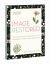 Image RESTored - Includes Six-Session Video Series : Tear down Shame and Insecurity to Experience a Body Image Renovation