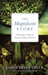 The Magnificent Story : Uncovering a Gospel of Beauty, Goodness & Truth