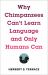 Why Chimpanzees Can't Learn Language and Only Humans Can